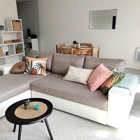 Appartement Avec Garage Proche Du Centre-Ville ทรัวส์ ภายนอก รูปภาพ