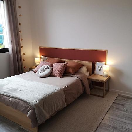 Appartement Avec Garage Proche Du Centre-Ville ทรัวส์ ภายนอก รูปภาพ